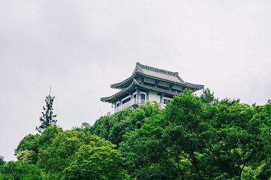 女主现身 《吸血鬼：避世血族-绝唱》发布新预告片